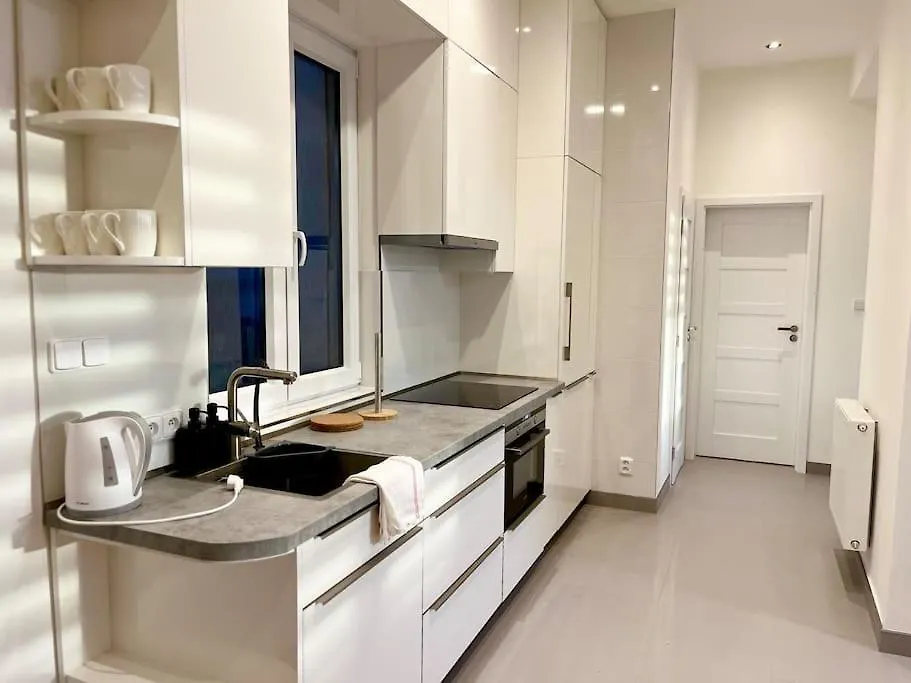 Modern Flat In Central Prague 0*,